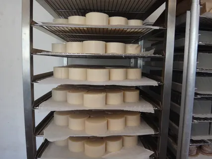 货架，米色，工艺品，know，水解冷藏，皂化，化妆品实验室，储藏室