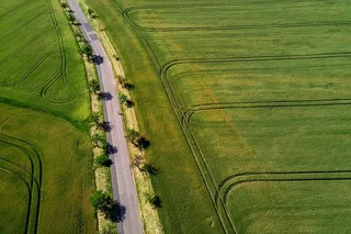 道路、树木和田野