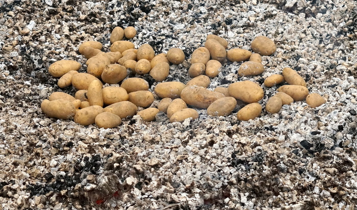 土豆火，土豆烤，余烬，吃，喝，秋天，土豆，传统