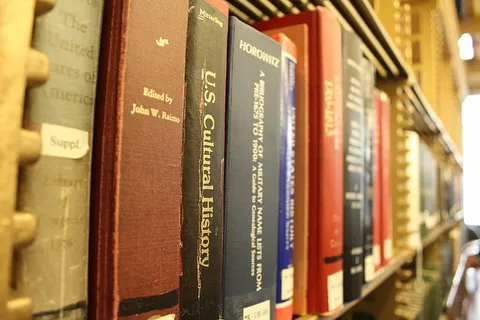 精选，聚焦摄影，书籍，纽约公共图书馆，图书馆，曼哈顿，书籍，文学