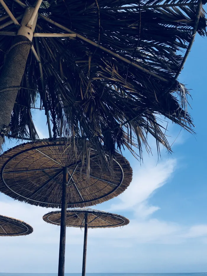 棕色柳条伞的低角度摄影