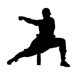 武术家惊人姿势的剪影。 武术家惊人姿势的剪影。