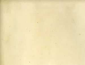 白色、复古、老旧、墙壁、壁纸、设计、纹理、背景