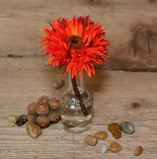 采购产品花，塑料，dekoblume，塑料花，红色，石头，装饰石头，木材