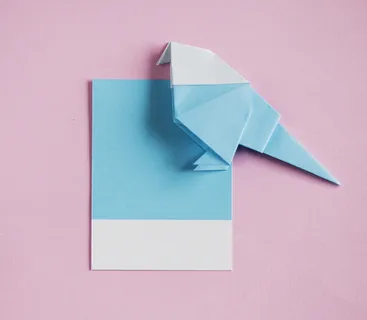动物,艺术,背景,鸟,明亮,卡片,特写,彩色 动物,艺术,背景,鸟,明亮,卡片,特写,彩色