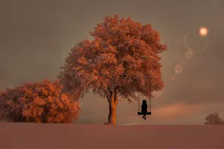 剪影照片，人物，秋千，树，女士，女士，女孩，放松