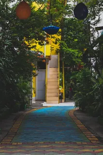 棕色房子旁边的绿叶植物 棕色房子旁边的绿叶植物