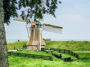 zuiderzee，博物馆，户外博物馆，旧工艺品，工厂，正品，植物，可再生能源