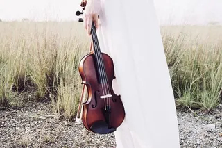 人的手拿着棕色的暴力