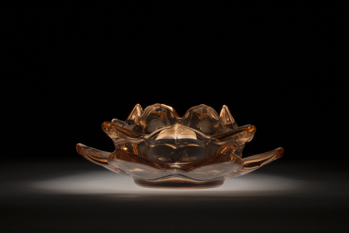 玻璃, 装饰, 花, 黑色背景, 特写, 工作室拍摄, 一种动物, 没有人