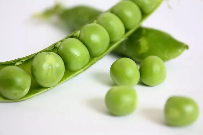 绿色，蔬菜种子，白色，表面，绿豆，豌豆，蔬菜，健康