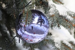 一年, 新, 假日, 圣诞节, 冬天, 背景, 玩具, 树