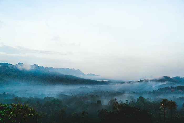 树木，周围，云，山，风景，自然，雾，天空