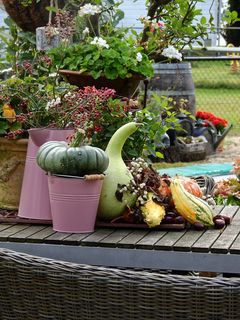 花朵，花朵，花朵，花园，装饰，装饰，南瓜，水桶