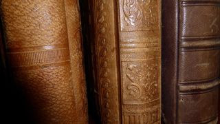 书脊，书籍，古董，旧，旧书，古董，皮革封面，棕色