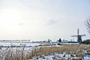 寒冷、乡村、环境、霜冻、冰冻、草、冰、景观