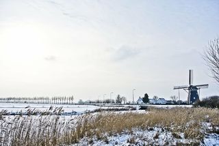 寒冷、乡村、环境、霜冻、冰冻、草、冰、景观