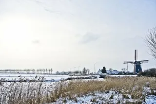 寒冷、乡村、环境、霜冻、冰冻、草、冰、景观