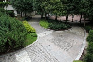 公园，街道，背景，树，花园，绿地，长椅，小路