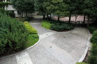 公园，街道，背景，树，花园，绿地，长椅，小路