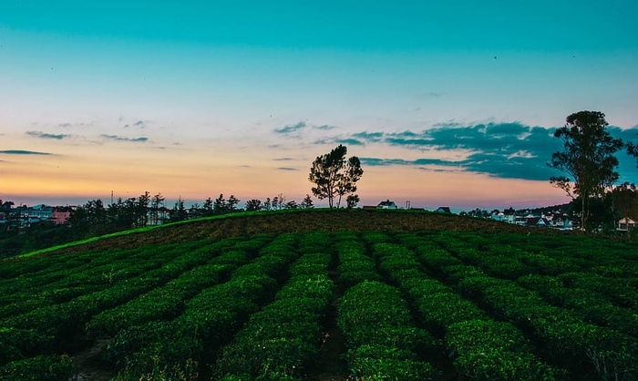 风景，天空，云朵，自然，风景，日落，黄昏，树木