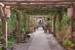 花园，宁静，宁静，木质材料，建筑，建筑结构，宗教，前进的道路