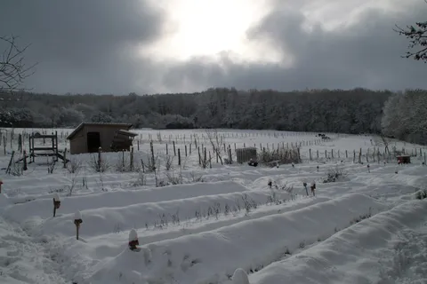 自然、户外、建筑、住房、农村、农村、小屋、人类 自然、户外、建筑、住房、农村、农村、小屋、人类