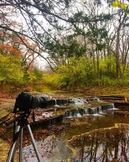 小溪、森林、小溪、河流、摄像机、佳能、照片、背景