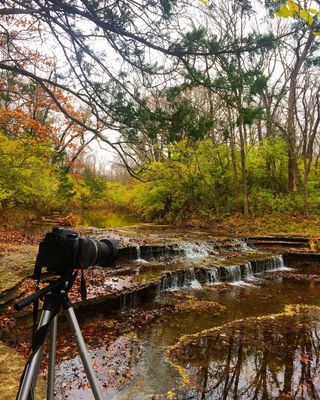 小溪、森林、小溪、河流、摄像机、佳能、照片、背景