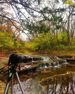 小溪、森林、小溪、河流、摄像机、佳能、照片、背景
