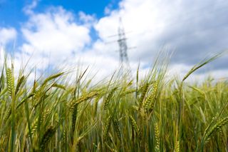 教会、自然、绿色、景观、产量、电力、高压线、云