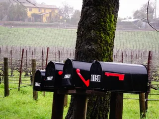 下雨的天气，可怕的，雨，潮湿，沉淀，自然，树木，远离