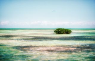 古巴, 无名路, 绿松石, 加勒比海, 现场, 水世界, 水景, 小岛