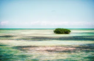 古巴, 无名路, 绿松石, 加勒比海, 现场, 水世界, 水景, 小岛