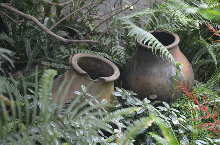 陶器，安提瓜，危地马拉，古老，正宗，粘土，植物，生长