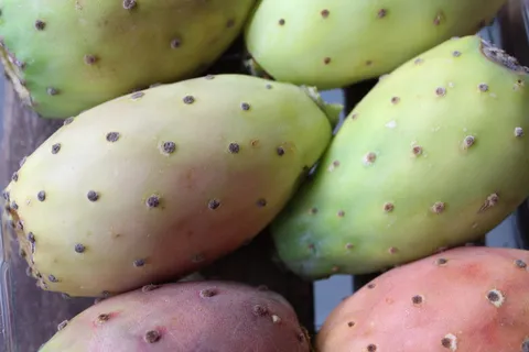 无花果，印度，自然，夏天，食物和饮料，食物，健康饮食，幸福