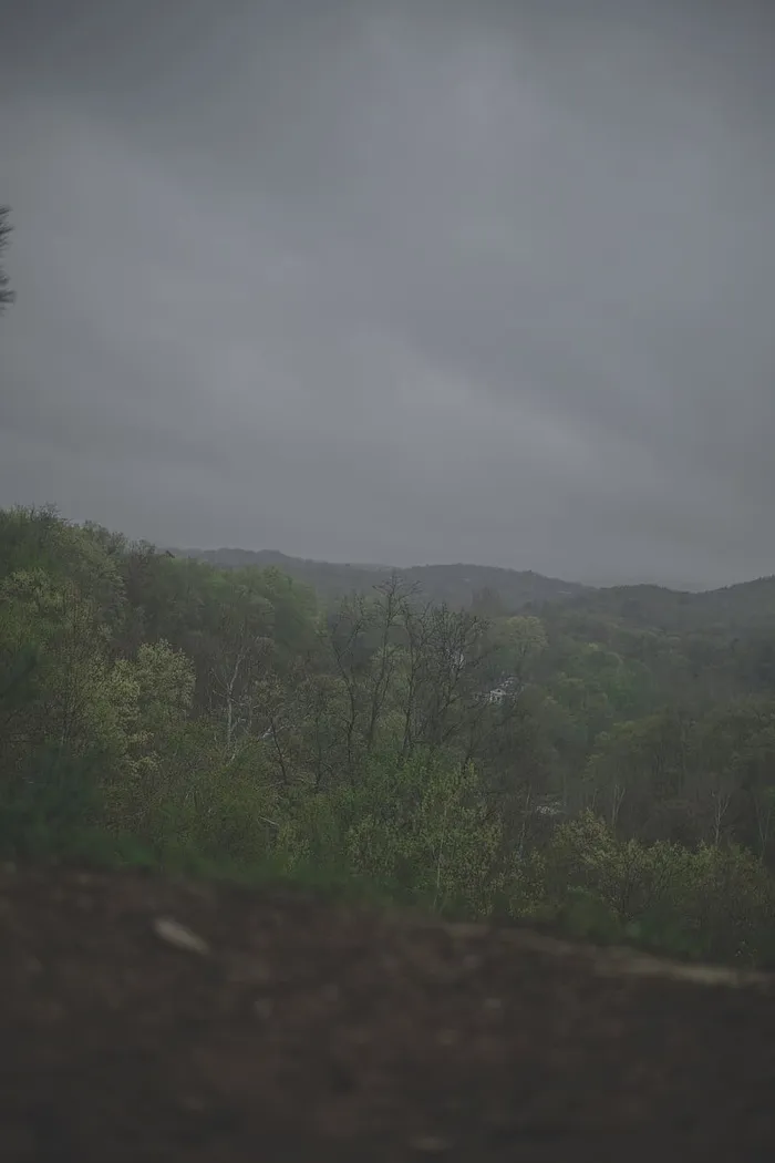 植物，天空，自然之美，自然，环境，云天，风景，自然，风景