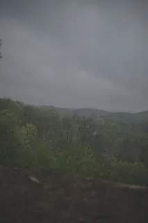 植物，天空，自然之美，自然，环境，云天，风景，自然，风景