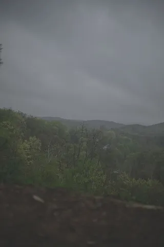 植物，天空，自然之美，自然，环境，云天，风景，自然，风景