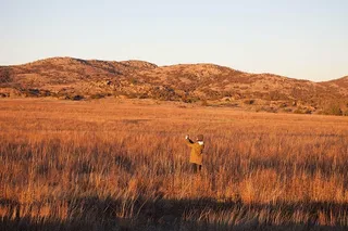 人，棕色，草地，白天，站立，中间，草地，白天