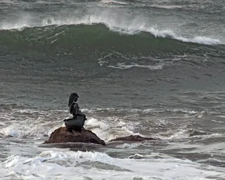 海妖、大海、海浪、大自然、海洋、风暴、水、动物