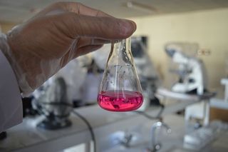 研究、实验室、生物学、科学、科学家、科学、化学、烧杯