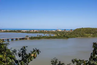 池塘，太阳，景观，水，天空，晴朗的天空，自然，植物