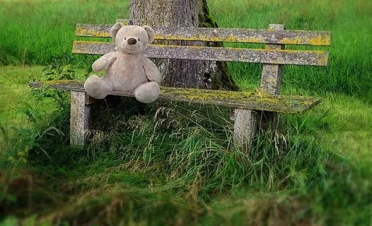 棕色，泰迪熊，木制，长凳，白天，泰迪熊，木制长凳