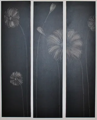 粉笔画、木板、墙砖、图像、花卉、植物、无人、自动后期制作过滤器