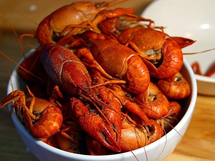 爪子，小龙虾，饮料，食品，食品和饮料，新鲜度，海鲜，甲壳类动物