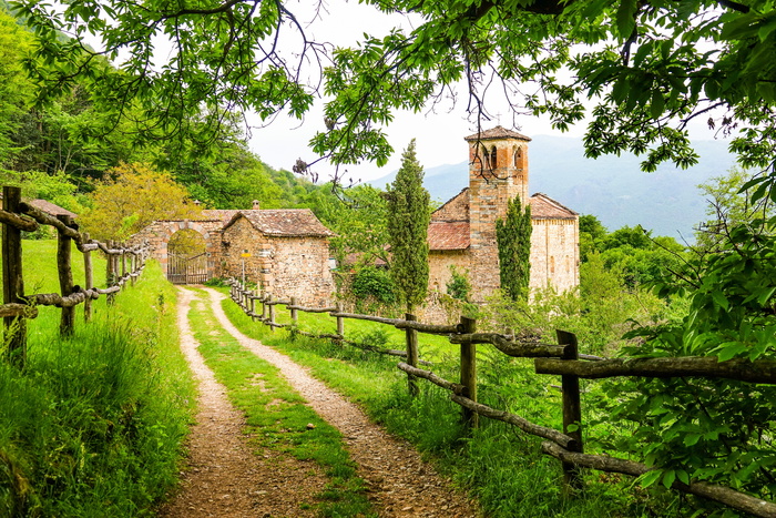 线索, 木, 栅栏, 仙女, 尾巴, 城堡, 路径, 绿色