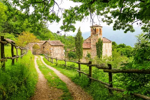 线索, 木, 栅栏, 仙女, 尾巴, 城堡, 路径, 绿色