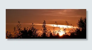 日出，草，自然，草，晨曦，心情，天空，橙色