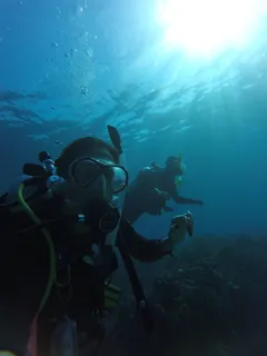 潜水,mar,潜水员,圆柱体,双系统,buddy,casal,水下 潜水,mar,潜水员,圆柱体,双系统,buddy,casal,水下